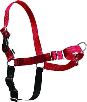 PetSafe イージーウォークハーネス S