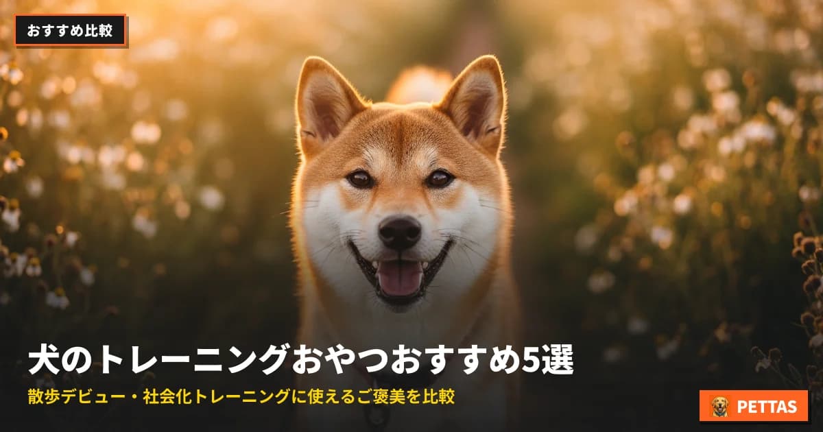 犬のトレーニングおやつおすすめ5選|散歩デビュー・社会化トレーニングに使えるご褒美を比較