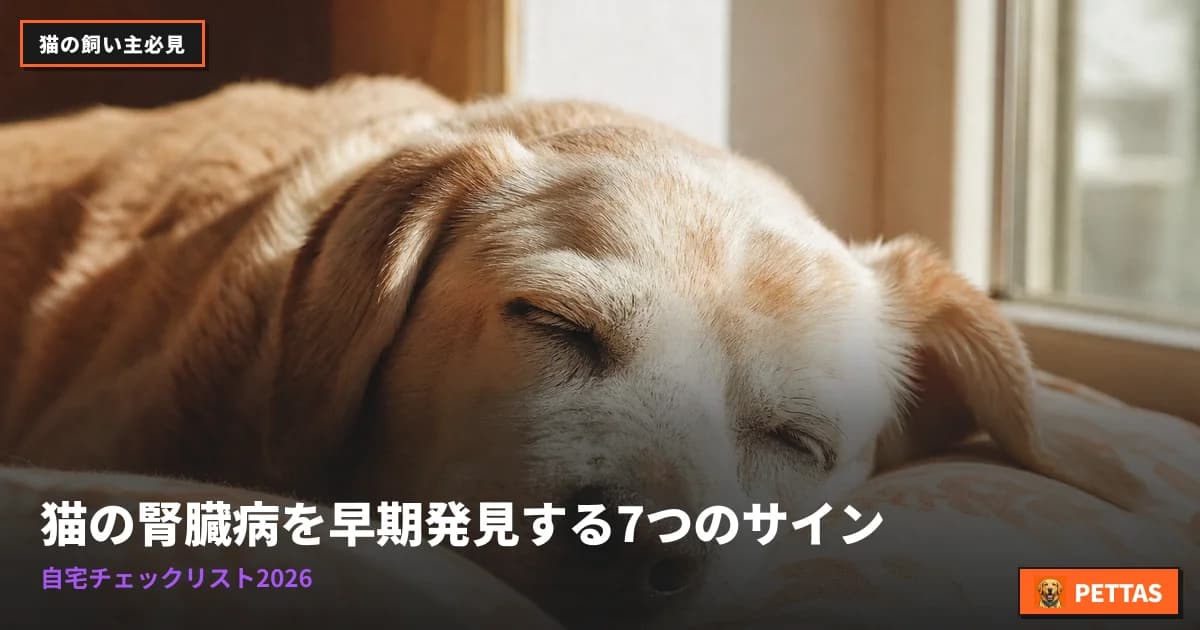7 Early Signs of Cat Kidney Disease: Home Checklist (2026)