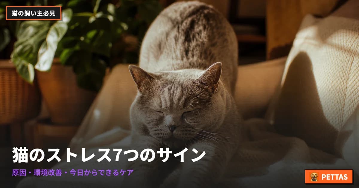 7 Cat Stress Signs Owners Miss: Vet-Approved Fixes (2026)