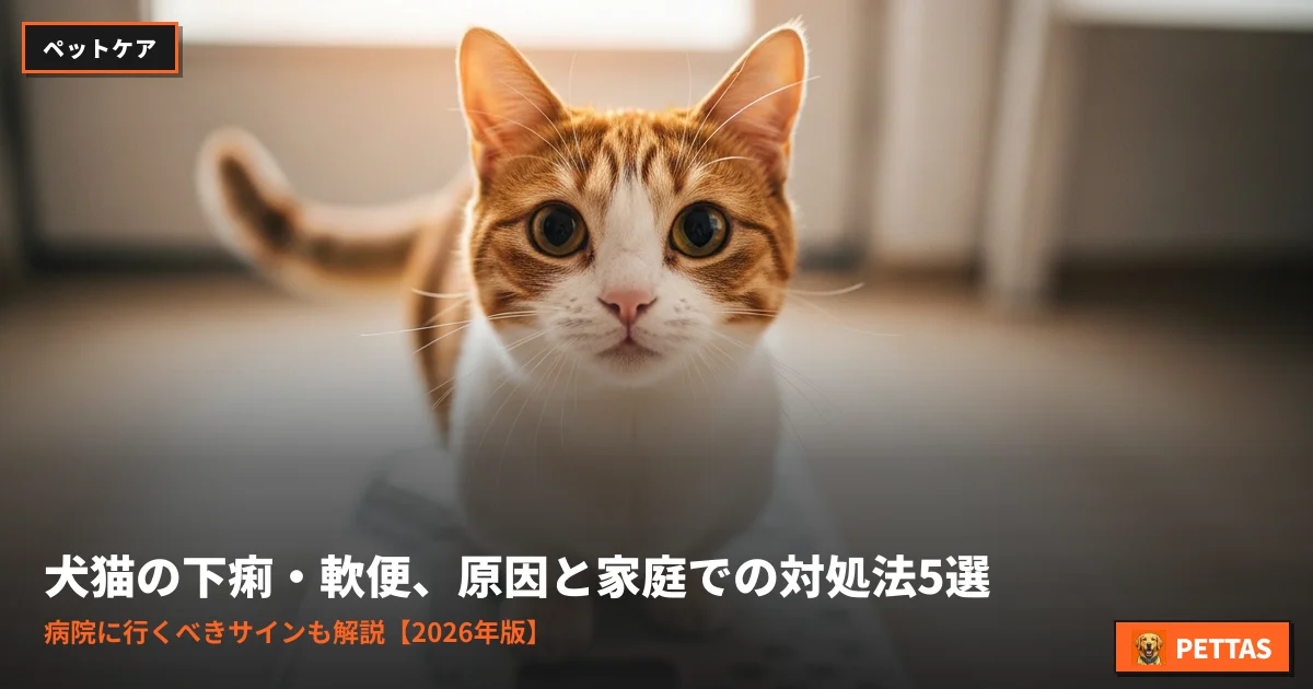 犬猫の下痢・軟便、原因と家庭での対処法5選|病院に行くべきサインも解説【2026年版】