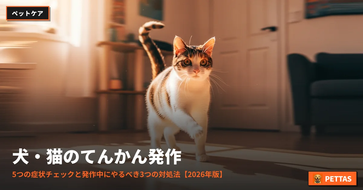 犬・猫のてんかん発作|5つの症状チェックと発作中にやるべき3つの対処法【2026年版】