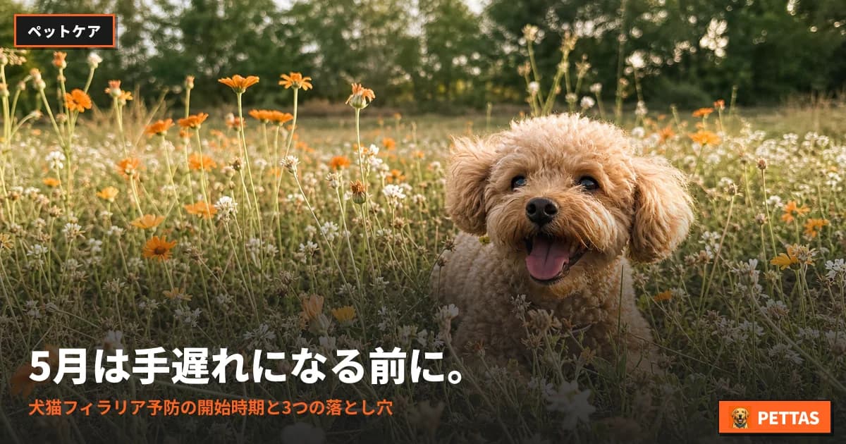 5月は手遅れになる前に。犬猫フィラリア予防の開始時期と3つの落とし穴
