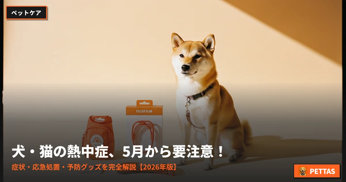 犬・猫の熱中症、5月から要注意!症状・応急処置・予防グッズを完全解説【2026年版】