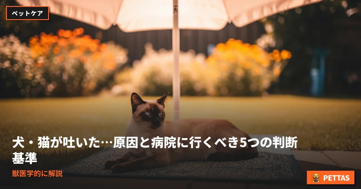 犬・猫が吐いた…原因と病院に行くべき5つの判断基準|獣医学的に解説