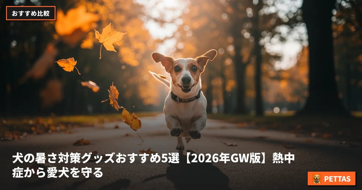 犬の暑さ対策グッズおすすめ5選【2026年GW版】熱中症から愛犬を守る