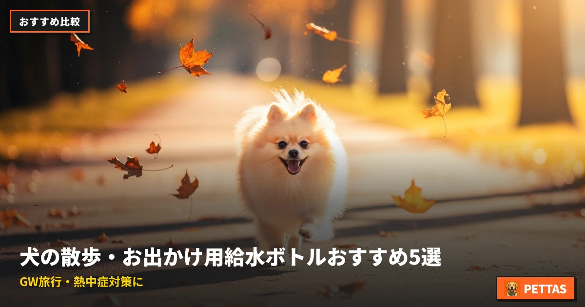 犬の散歩・お出かけ用給水ボトルおすすめ5選|GW旅行・熱中症対策に