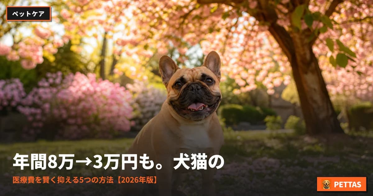 年間8万→3万円も。犬猫の医療費を賢く抑える5つの方法【2026年版】