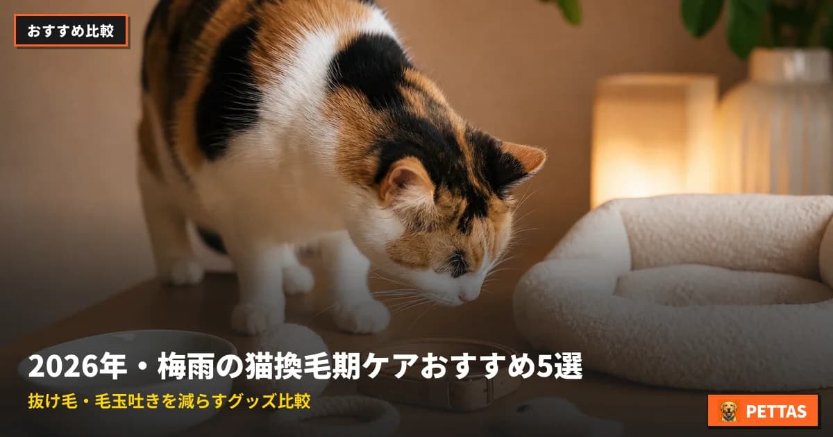 2026年・梅雨の猫換毛期ケアおすすめ5選|抜け毛・毛玉吐きを減らすグッズ比較