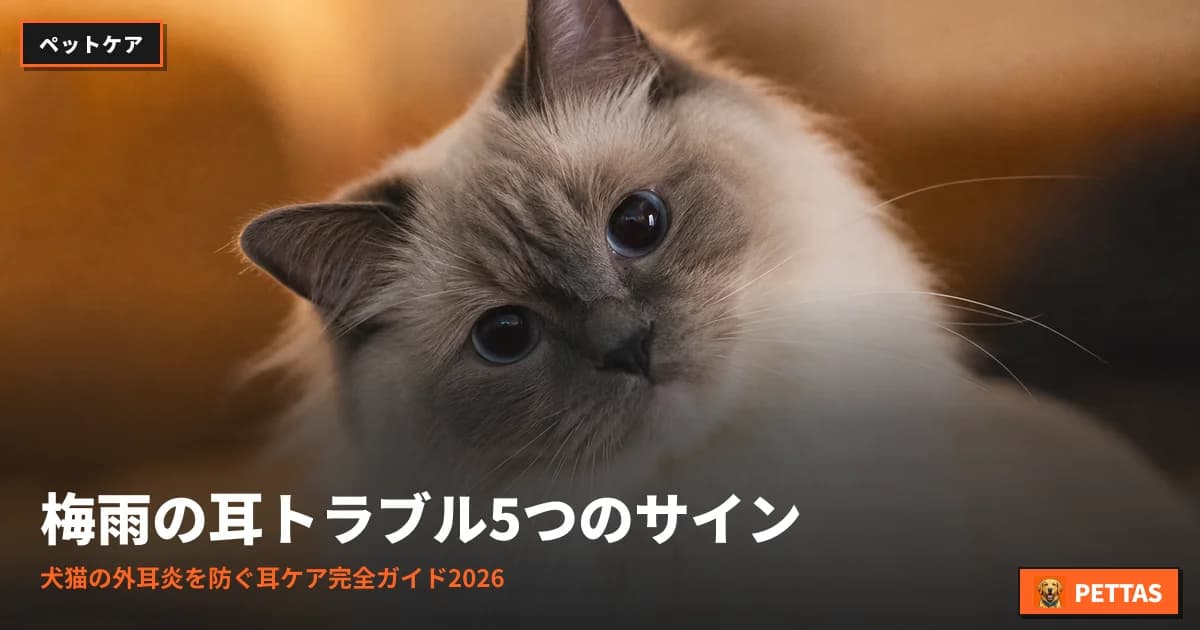 梅雨の耳トラブル5つのサイン|犬猫の外耳炎を防ぐ耳ケア完全ガイド2026