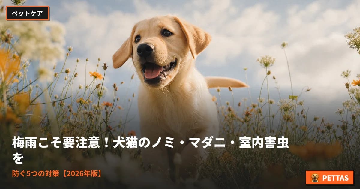 梅雨こそ要注意!犬猫のノミ・マダニ・室内害虫を防ぐ5つの対策【2026年版】
