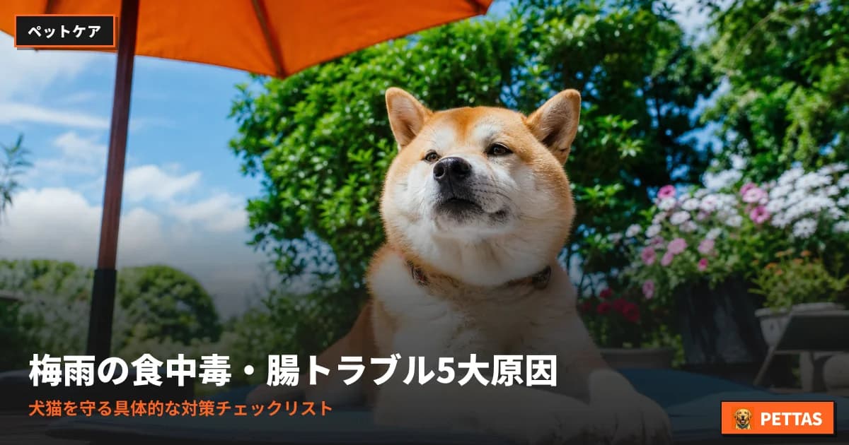 梅雨の食中毒・腸トラブル5大原因|犬猫を守る具体的な対策チェックリスト