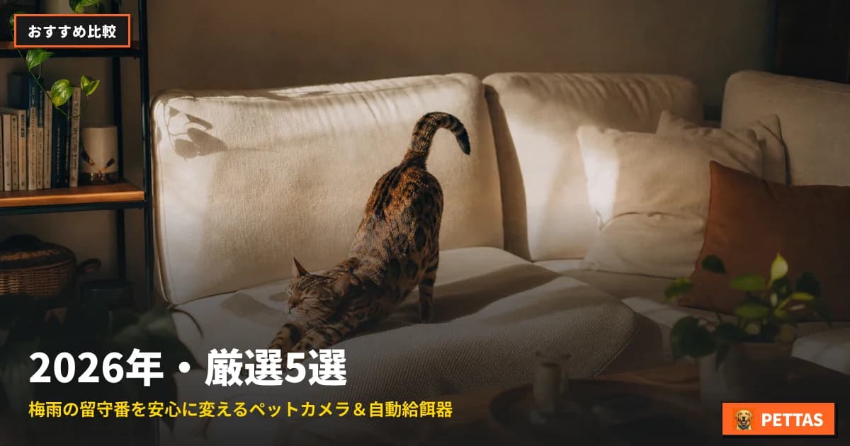 2026年・厳選5選|梅雨の留守番を安心に変えるペットカメラ&自動給餌器