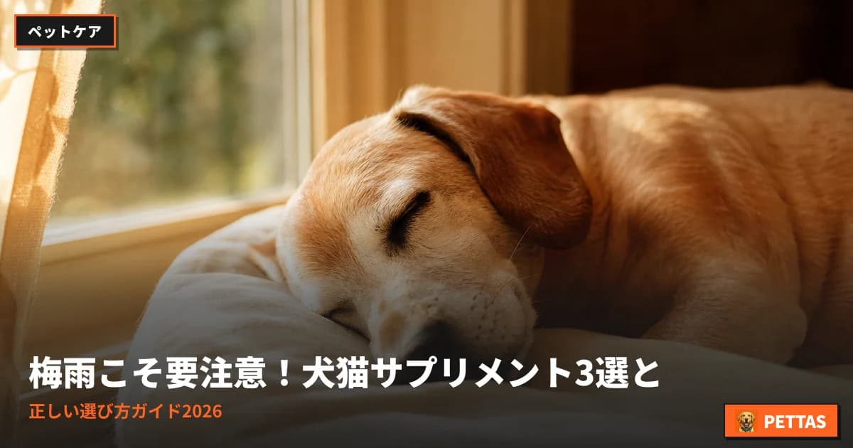梅雨こそ要注意!犬猫サプリメント3選と正しい選び方ガイド2026