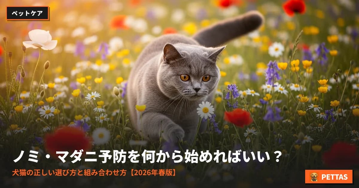 ノミ・マダニ予防を何から始めればいい?犬猫の正しい選び方と組み合わせ方【2026年春版】