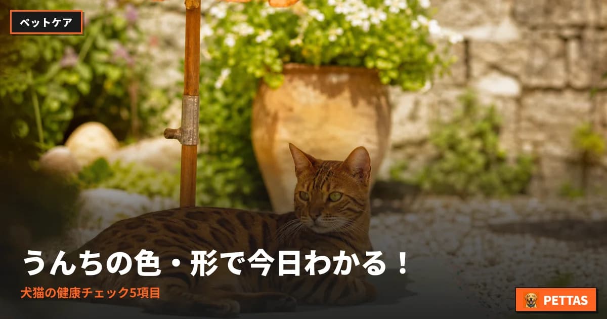うんちの色・形で今日わかる!犬猫の健康チェック5項目