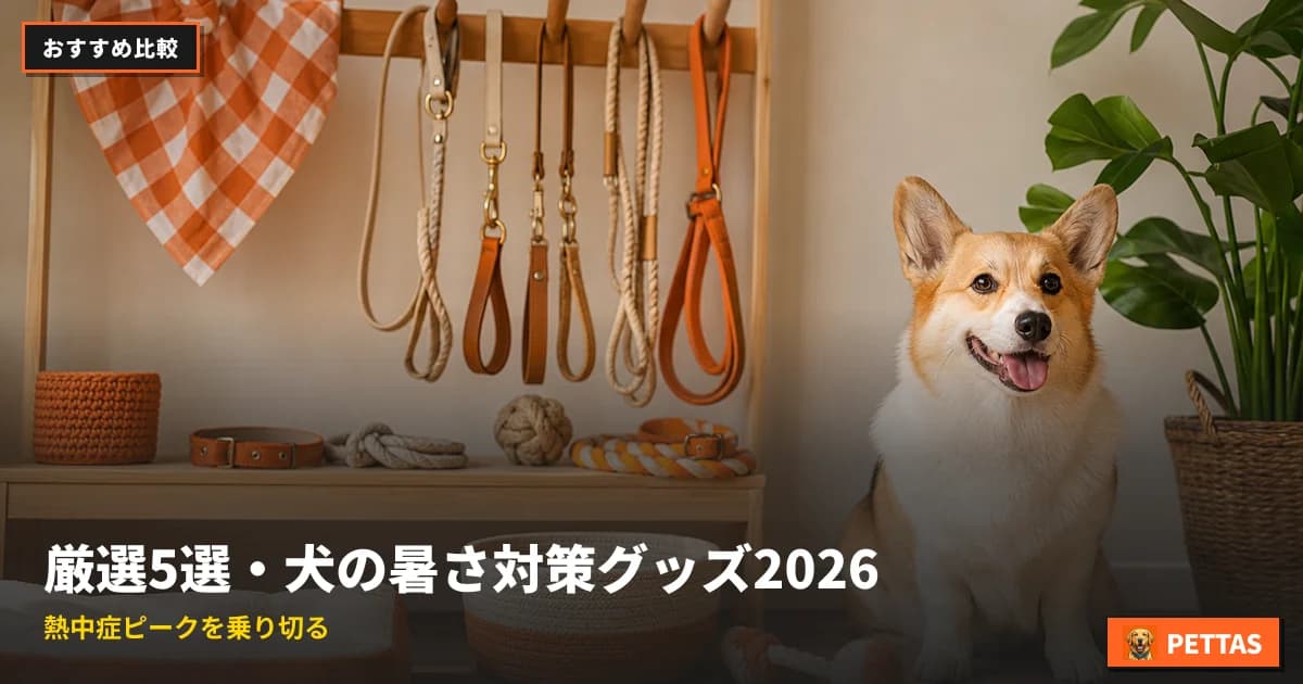 厳選5選・犬の暑さ対策グッズ2026|熱中症ピークを乗り切る