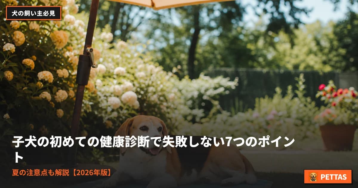 子犬の初めての健康診断で失敗しない7つのポイント|夏の注意点も解説【2026年版】